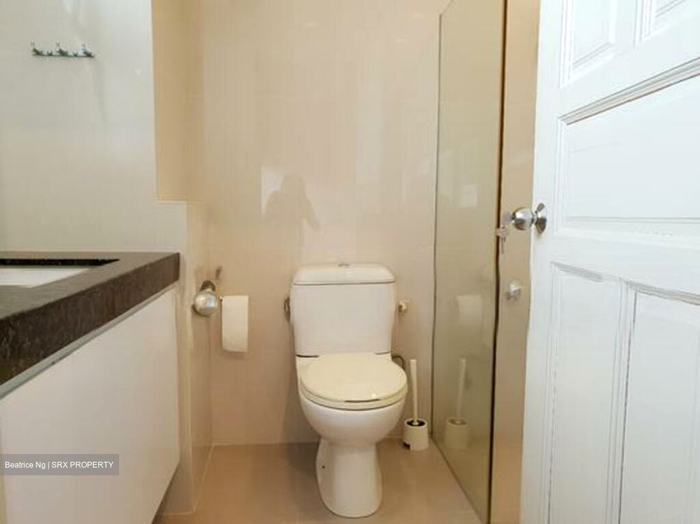 Mount Rosie Garden (D11), Condominium #519514901